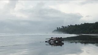 : Adriana Ugarte - Palmeras en la nieve (2015) #2