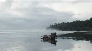 : Adriana Ugarte - Palmeras en la nieve (2015) #3