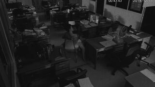 : Narilya Gulmongkolpech in "The Medium" Sex Scene #3